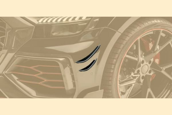 тюнинг обвес Mansory Audi RSQ8 4M