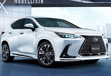Тюнинг Lexus NX200 NX250 NX350 NX350h 2025 2024 2023 2022 2021